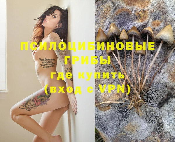 мдпв Куйбышев