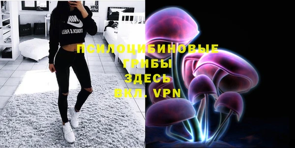 прущие грибы Кукмор