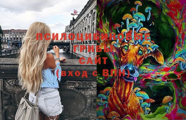 дмт Краснотурьинск